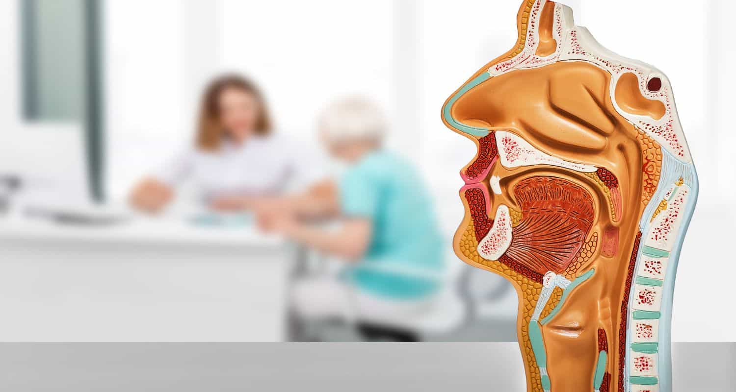 ENT Department
