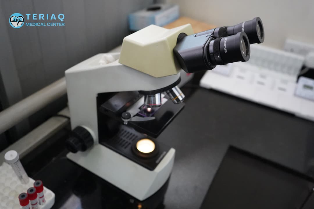 Labs